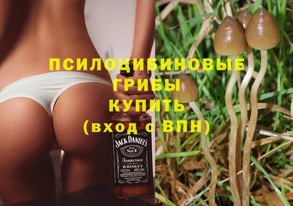 дмт Зерноград