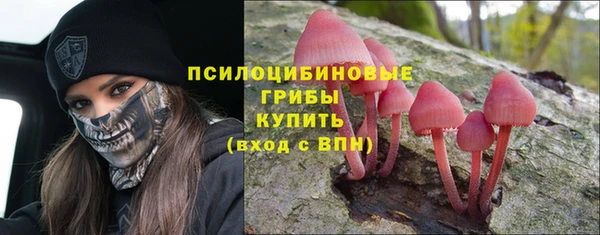 прущий лед Заволжье