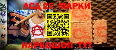 mdpv Гатчина