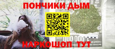 крисы Бийск