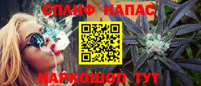 крисы Будённовск