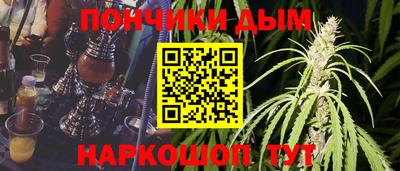 mdpv Гатчина