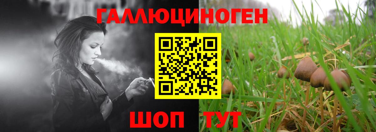 Псилоцибиновые грибы Psilocybine cubensis Октябрьский