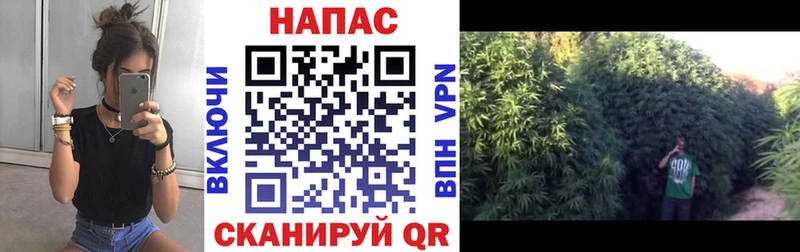 Конопля тримм Октябрьский